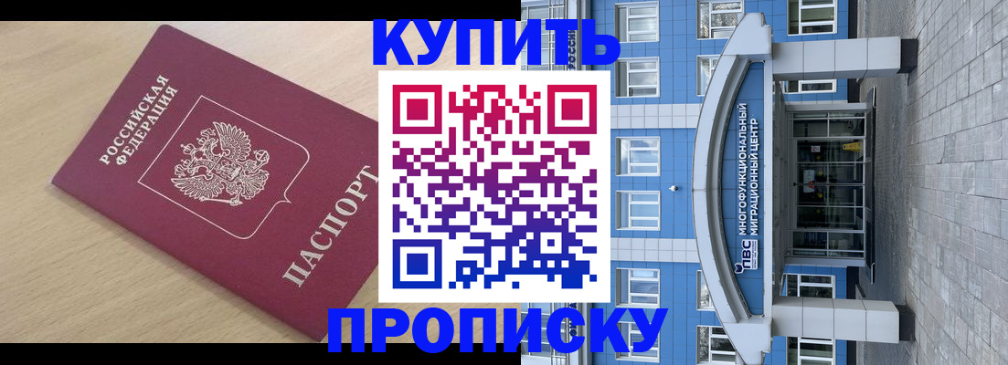 временная регистрация для всех в Заринске